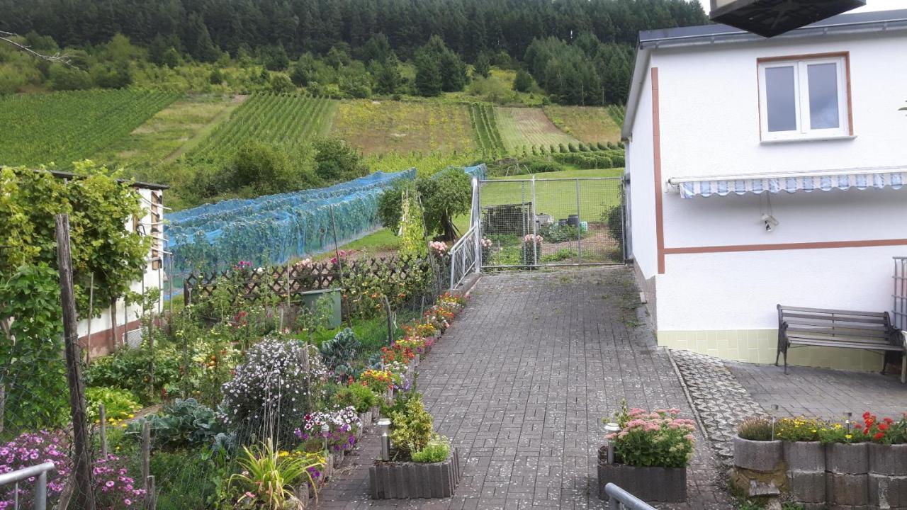 Zwei Ferienwohnungen "Im Weingarten " Burg  Esterno foto
