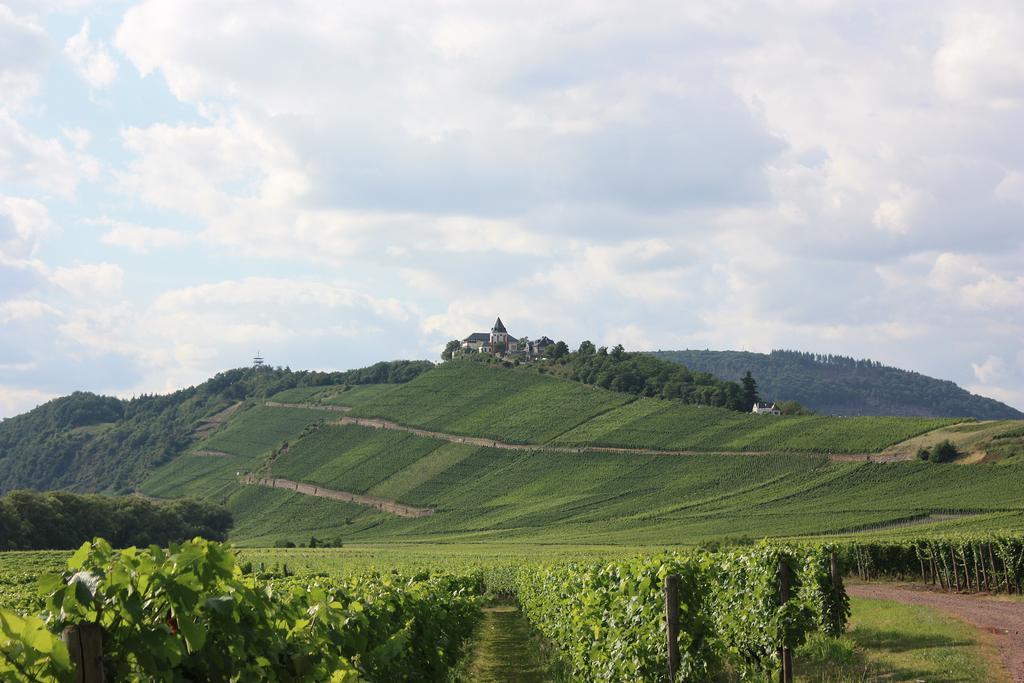 Zwei Ferienwohnungen "Im Weingarten " Burg  Camera foto