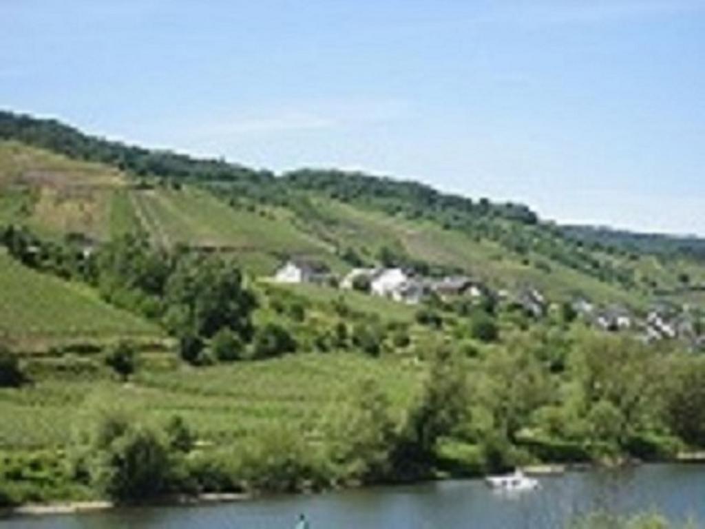 Zwei Ferienwohnungen "Im Weingarten " Burg  Esterno foto